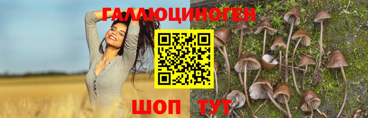 Псилоцибиновые грибы Magic Shrooms  Вход с VPN  Галлюциногенные грибы мухоморы  Ухта 